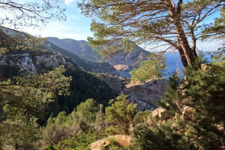 The first steps: Bocairent and the beginning of everything