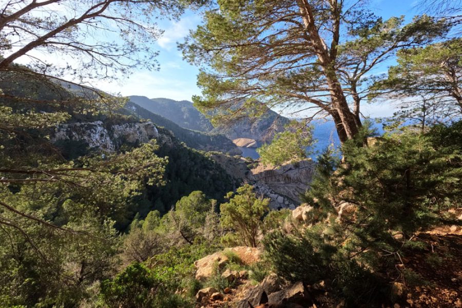 Hiking in the Forat de Bèrnia
