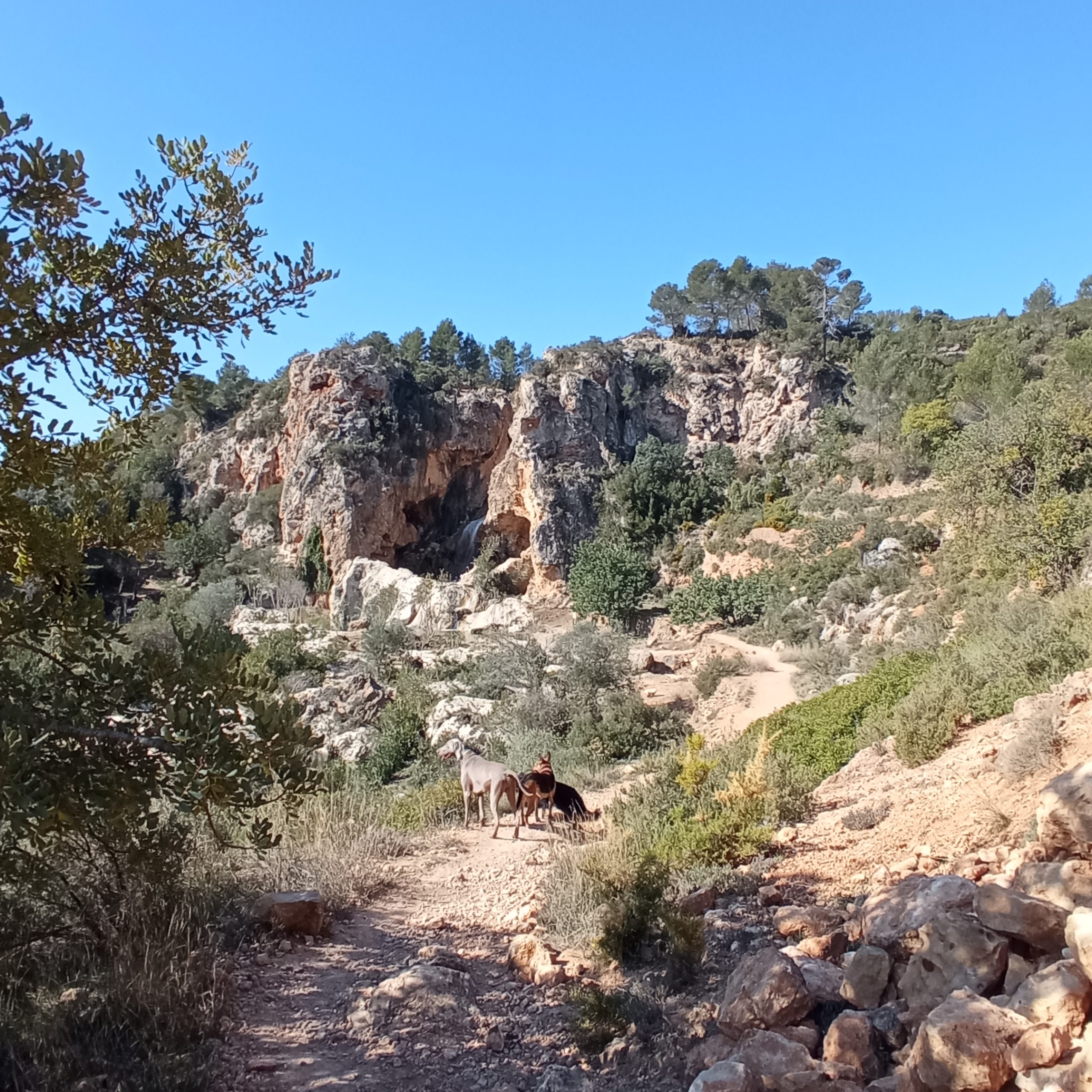 Senderismo en el Maigmó