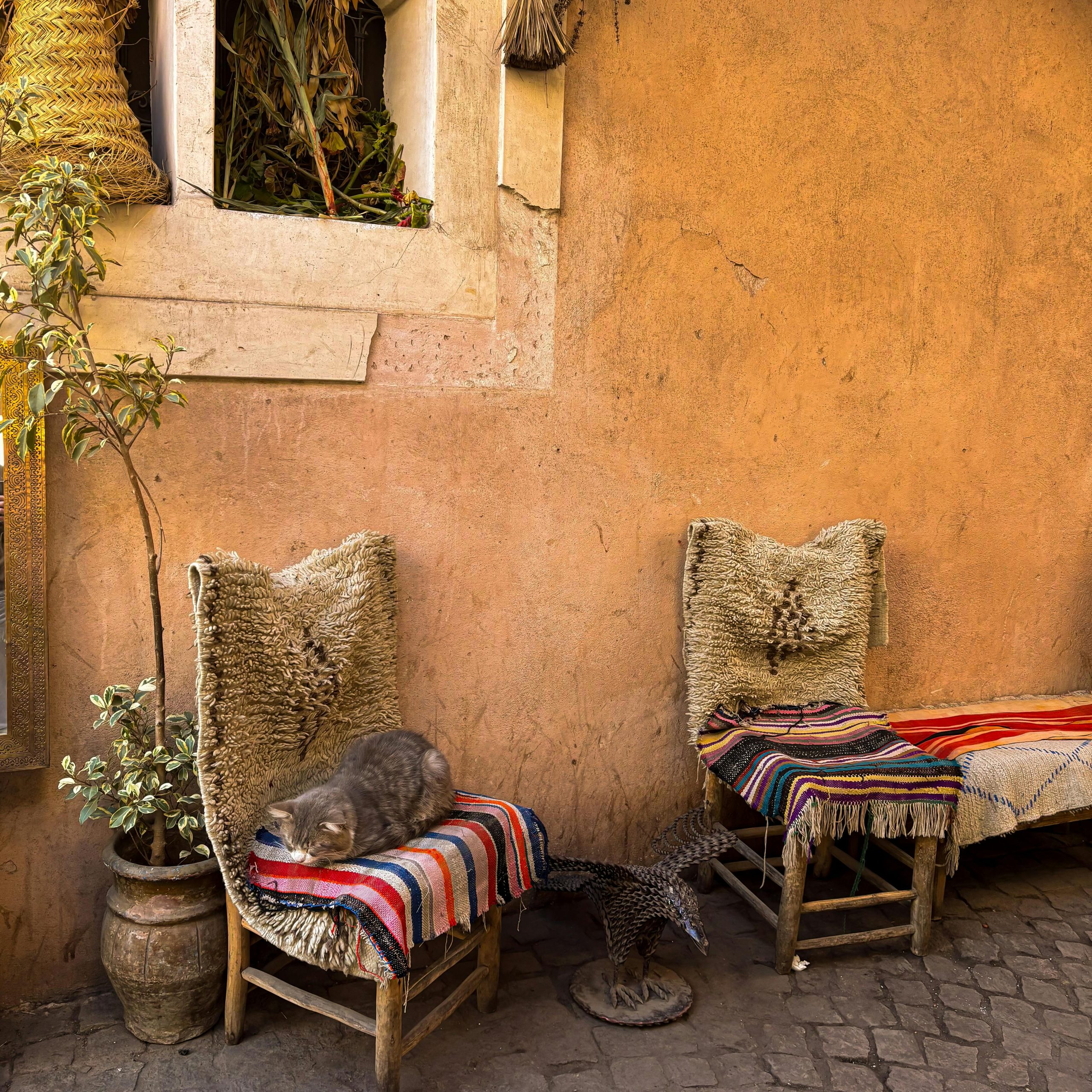 Aventura en Marruecos