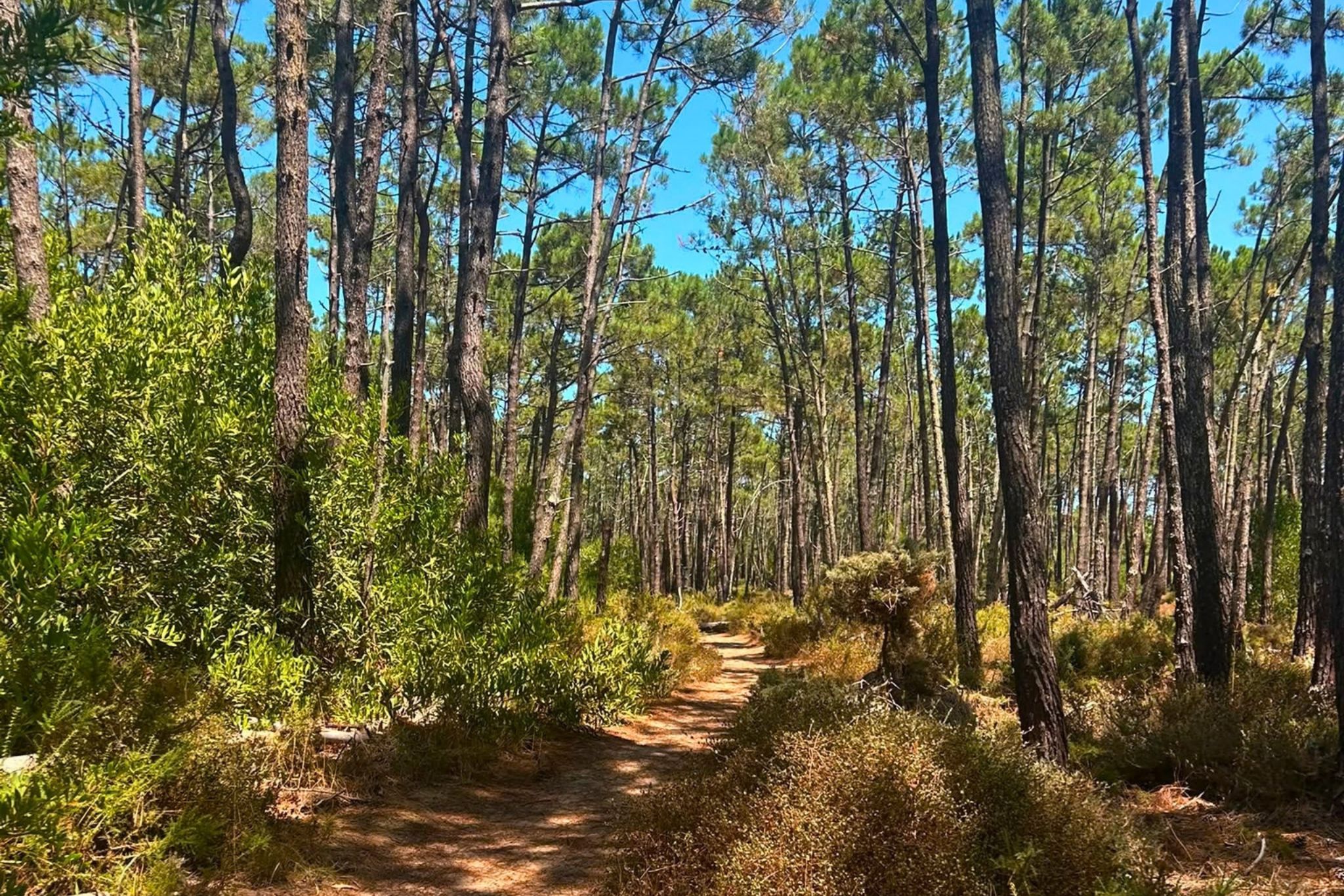 Aventura Ruta Vicentina