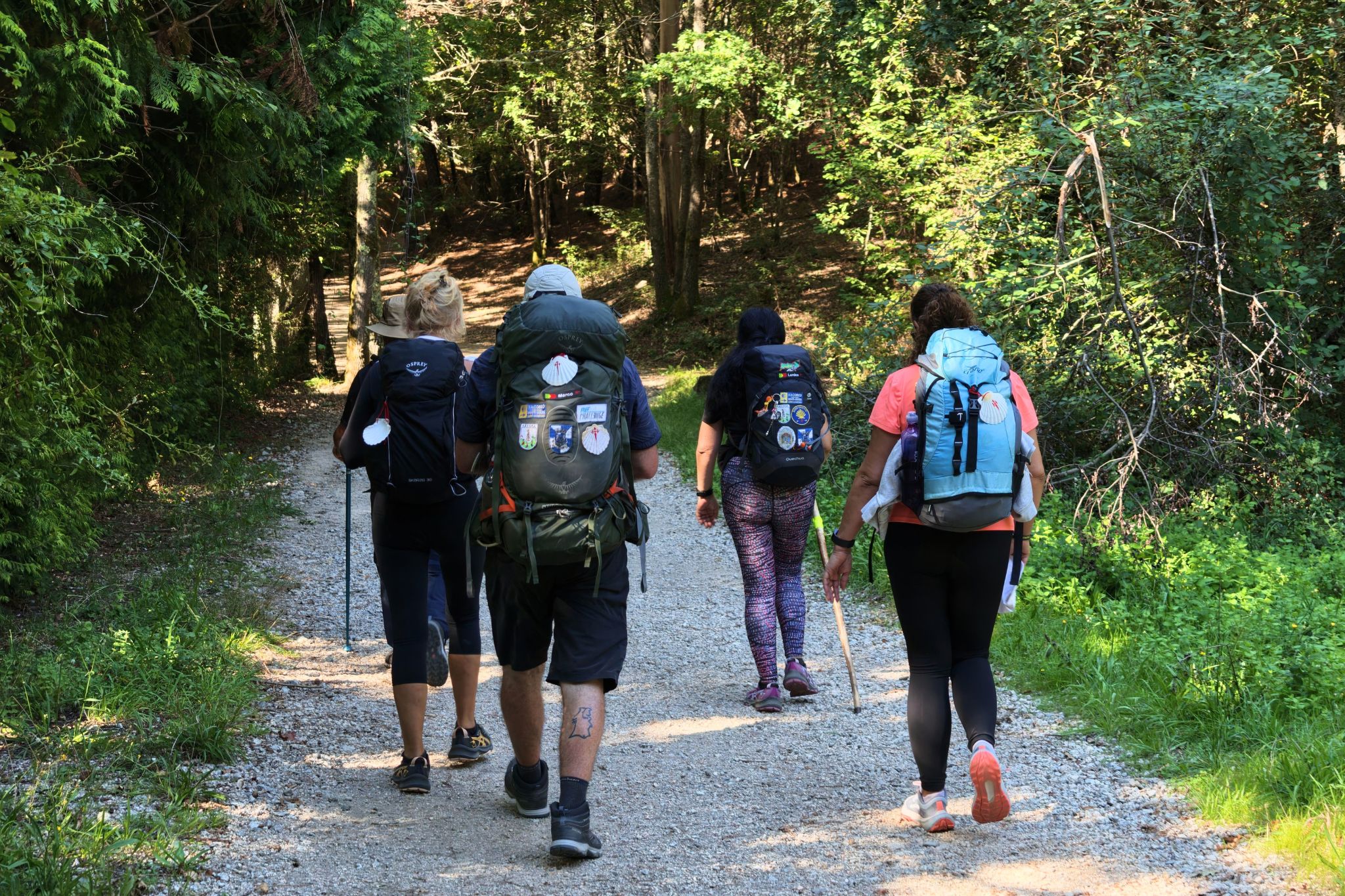 Aventura Camino de Santiago